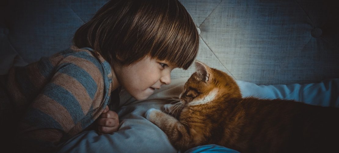 Convivencia entre mascotas y bebes