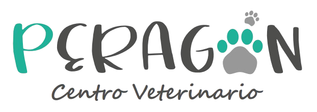 logo peragon